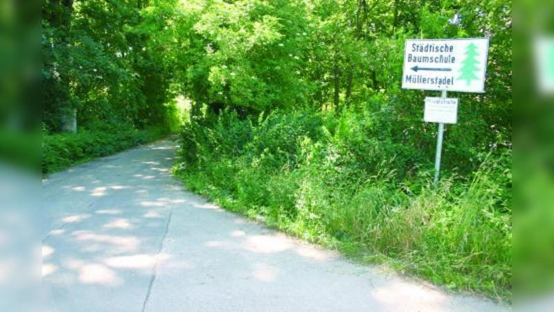Der Allach-Untermenzinger Bezirksausschuss hatte beantragt, den Weg durch die Baumschule Müllerstadel als Radweg zu den Langwieder Seen zu öffnen. (Foto: ls)