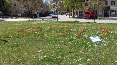 Eine bunte und blumige 950 am Haarer Anger lädt dazu ein, Selfies zu machen. (Foto: Gemeinde Haar)