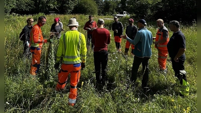 Rund 40 Mitarbeitende aus 14 Kommunen nahmen an den Praxisschulungen zu Neophyten im Landkreis München teil. (Foto: Landratsamt München)