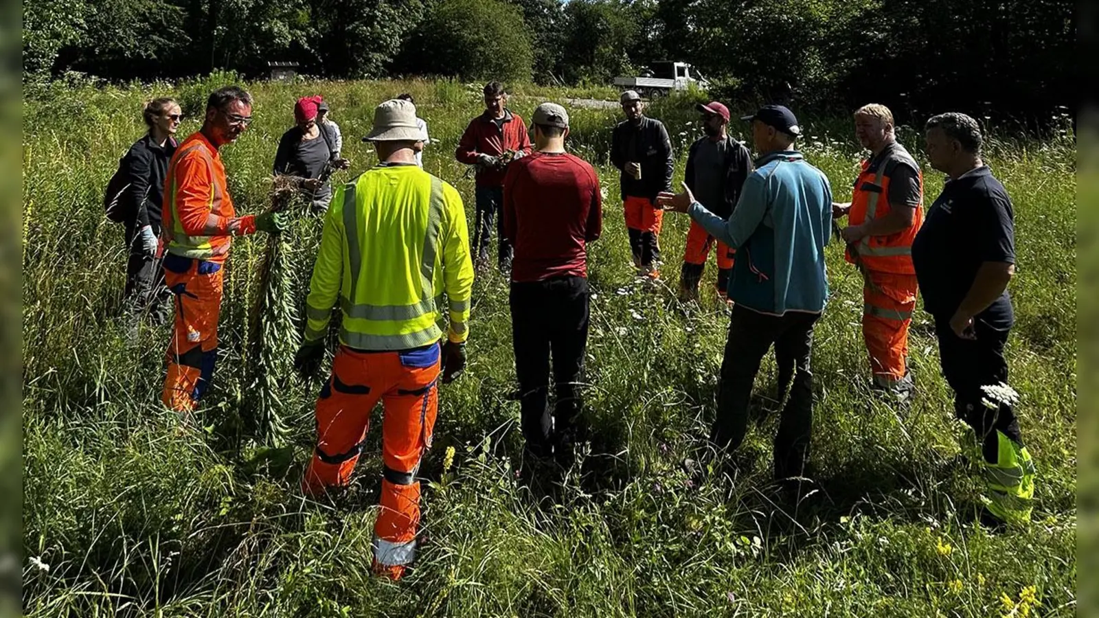 Rund 40 Mitarbeitende aus 14 Kommunen nahmen an den Praxisschulungen zu Neophyten im Landkreis München teil. (Foto: Landratsamt München)