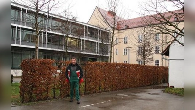Um die Zufahrt der Händler zum Markt während der nächsten Monate erträglich zu gestalten, könnte ein Teil dieser Hecke fallen. So lauteten die Vorschläge von BA und AOK. Nach den Baumaßnahmen würde die Hecke wieder ersetzt. Diese Schnellmaßnahme stößt allerdings auf anonymen Widerstand. Gartenbauer und Gemüsehändler Ludwig Adler vor der fraglichen Hecke zwischen Markt und Standesamt. (Foto: US)