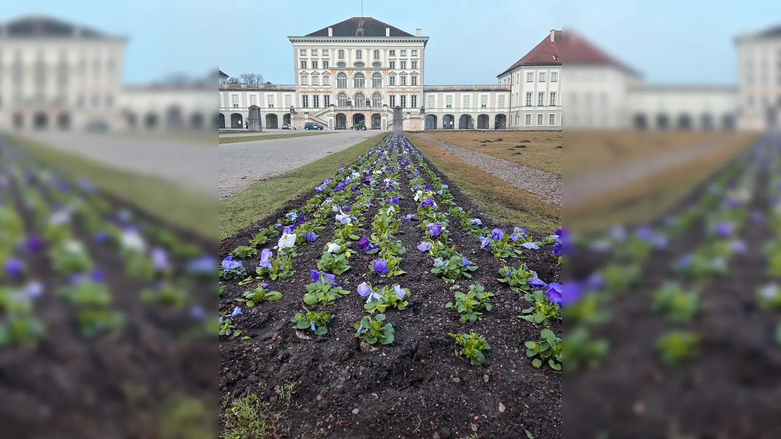 Etwa 55.000 Blumensetzlinge aus der Nymphenburger Schlossgärtnerei sind gepflanzt worden.  (Foto: Bayerische Schlösserverwaltung/Manuel Leuthe)