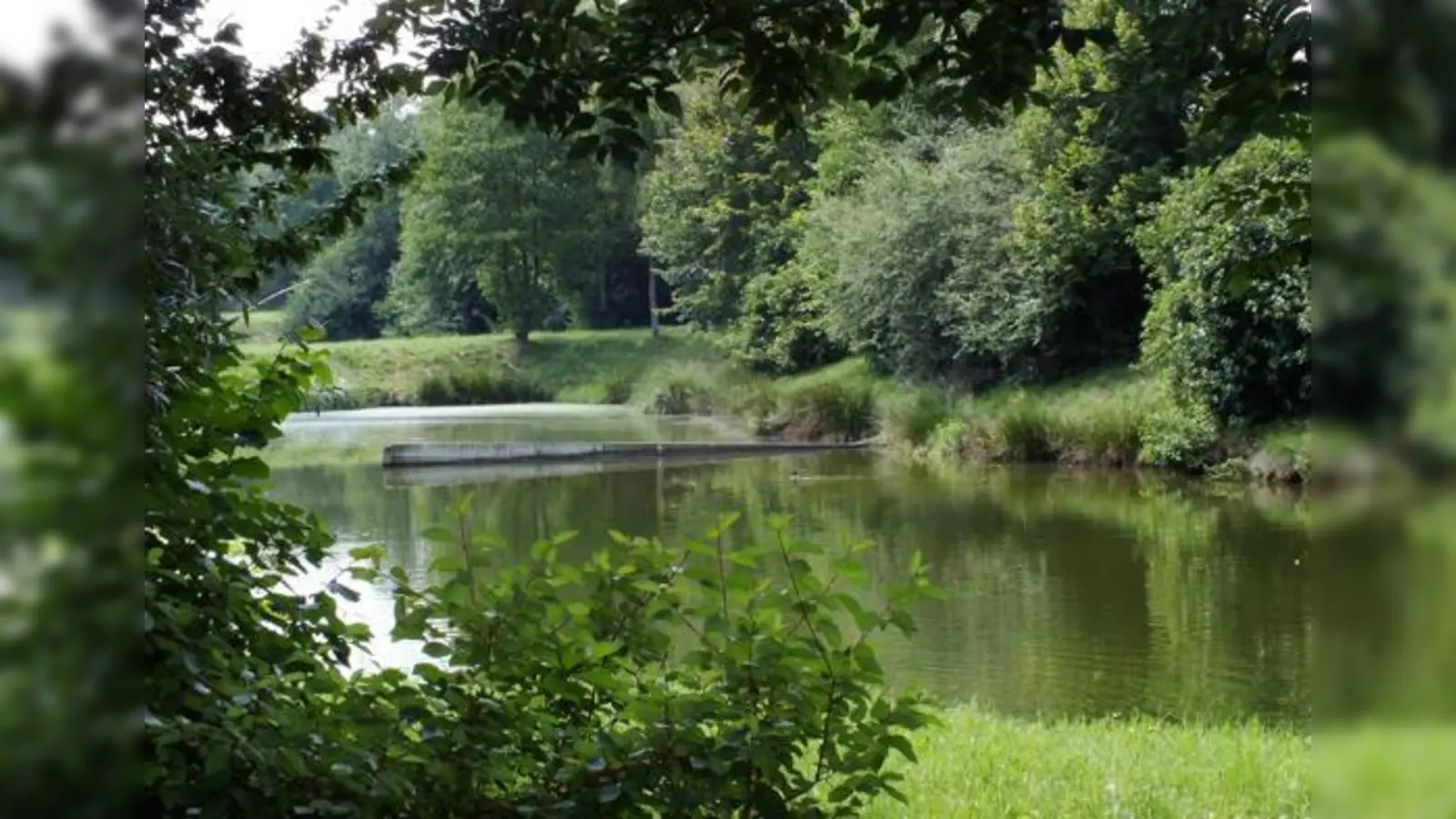 Der größte Teich der Kläranlage »Thal« steht vielleicht bald für eine »öffentliche Nutzung« zur Verfügung. Das kann viel heißen, baden inklusive.	 (Foto: kw)