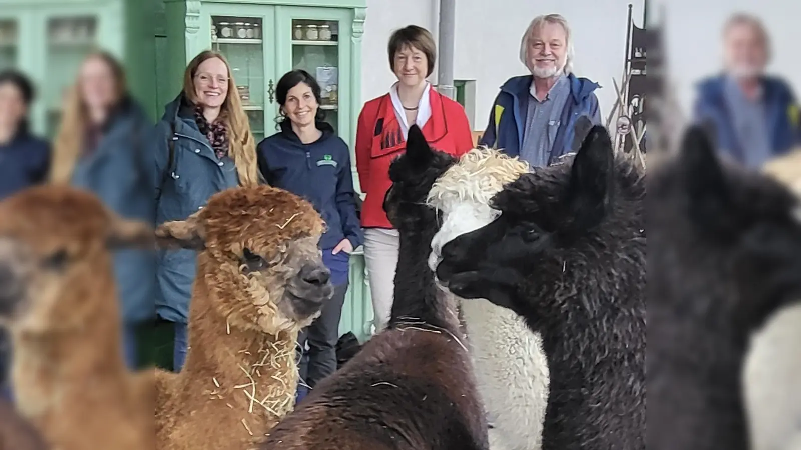 Stefanie Otterbein, Kathrin Loder, Gabriele Kuhn und Georg Weigl (von links) und einige Alpakas freuen sich über die Urkunden. (Foto: Bruggerhof)