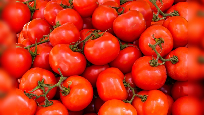 Unter anderem Tomaten lassen sich relativ einfach selbst anbauen. (Symbolbild: Archiv)