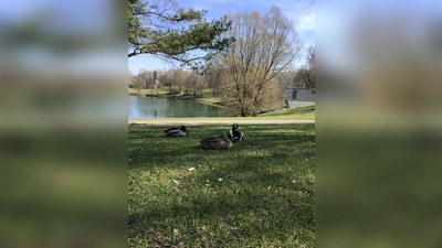 Die Lerchenau hat heute einen See, doch bei ihrer Gründung war vieles anders. (Foto: Daniel Mielcarek)