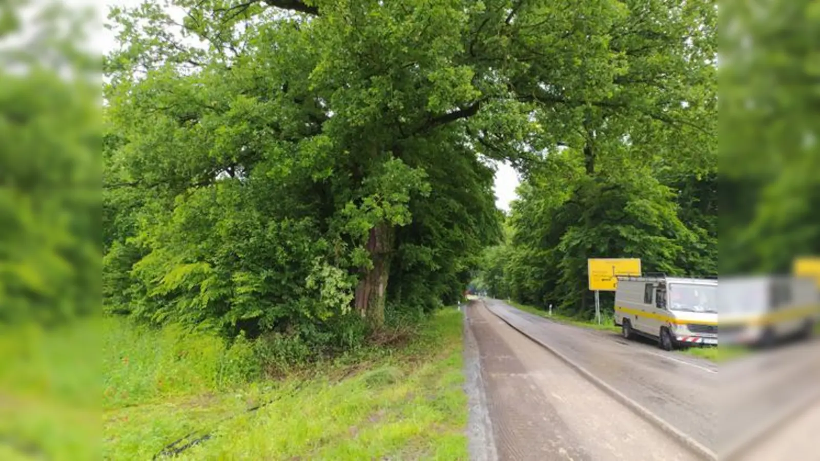 Die „Causa Eiche” hat sich zu einem regelrechten „Sommergewitter” im Landkreis entwickelt.  (Foto: Stefan Dohl)