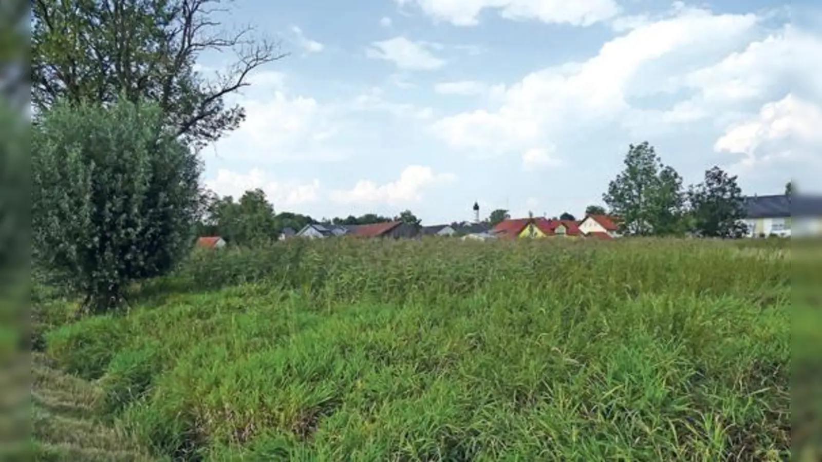 Mähen oder stehen lassen? Die Ausgleichsfläche in Neuching wäre ja eigentlich »dran«, aber der Bauausschuss hat Zweifel, ob das sinnvoll ist.	 (Foto: kw)