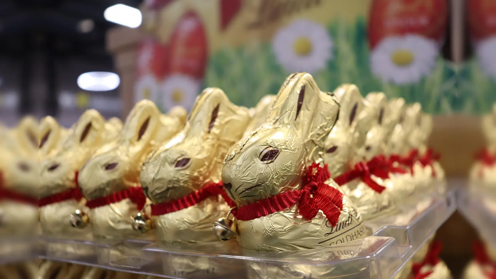 Damit alle Kinder ein Häschen im Nest vorfinden, wird um Schokospenden gebeten. (Foto: hw)