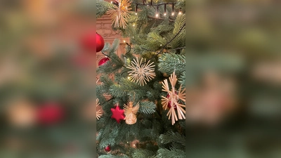 Gerade in der Weihnachtszeit ist der Mensch auf sein Gegenüber angewiesen, das gilt auch für Senioren, die alleine leben. (Foto: hw)