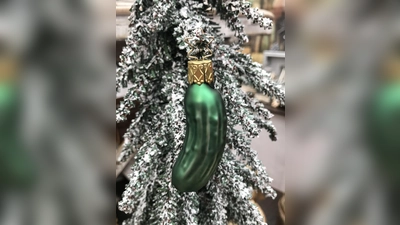 Die Gurke im Baum wird auch in Bayern immer beliebter. Ein lustiger Brauch, der vor allem Kindern gut gefällt.  (Foto: hw)