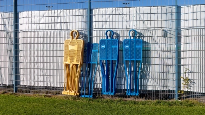Trainingsauftakt mit offenen Fragen: Münchner Löwen. (Symbolbild: Anne Wild )