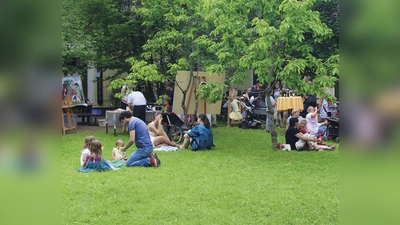 Noch ist es ein Traum, aber bald ist es auch in der Situlistraße 73 wieder grün. (Foto: privat)