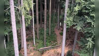 Langanhaltende Trockenperioden machen dem Wald auch im Landkreis München zu schaffen. (Foto: hw)