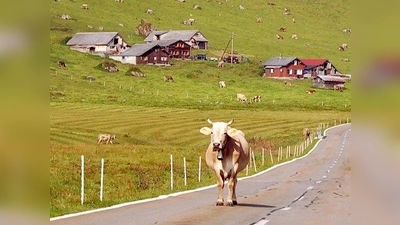 Vor allem in den Bergen auf ihren Wandertouren fotografiert Gerdi Sautner. (Foto: VA)